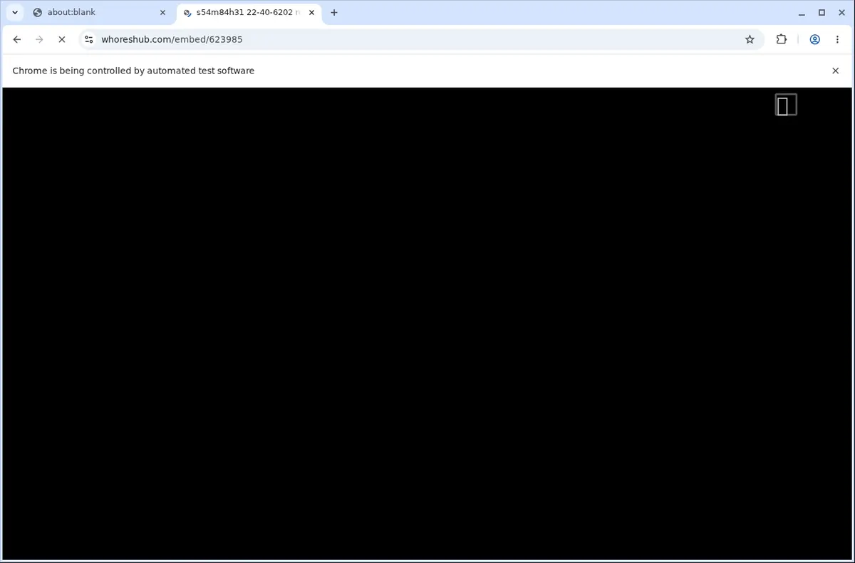 WhoresHub Downloader page open in the browser