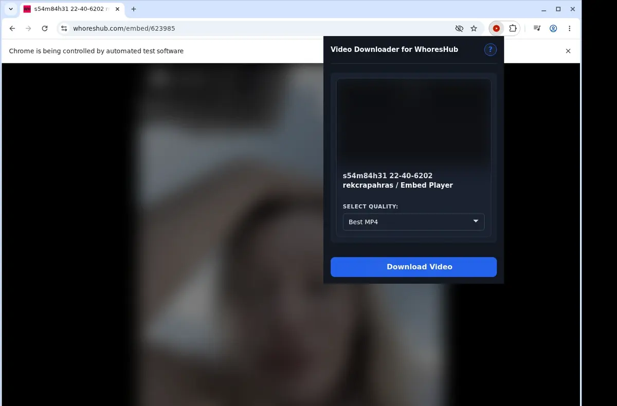 WhoresHub Downloader showing detected media ready to download