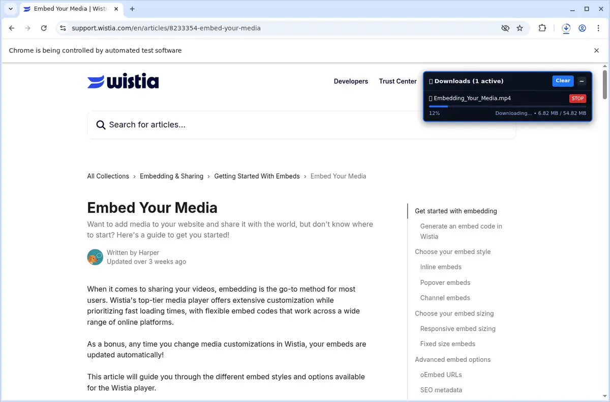 Wistia Video Downloader download progress panel