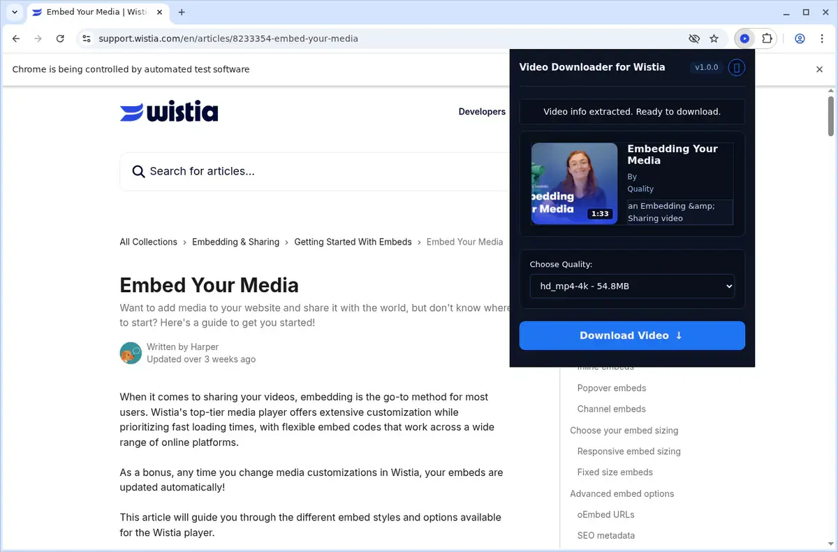 Wistia Video Downloader showing detected media ready to download