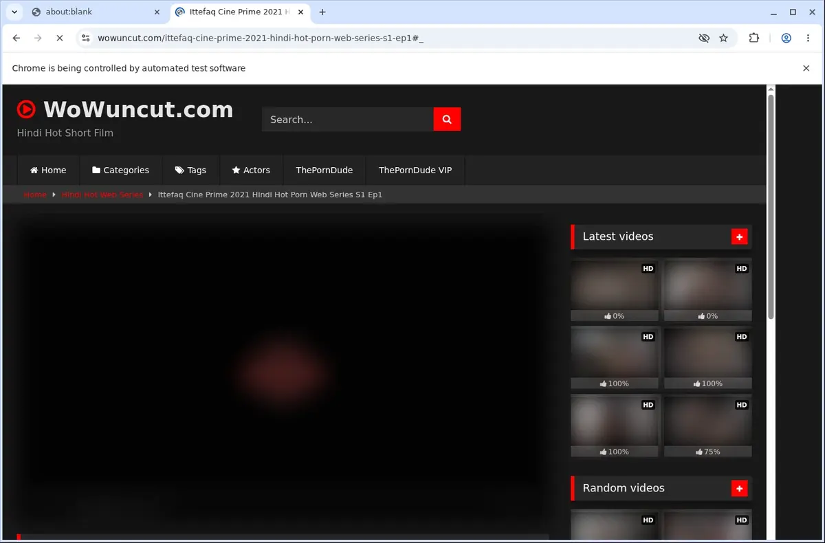 WowUncut Video Downloader page open in the browser