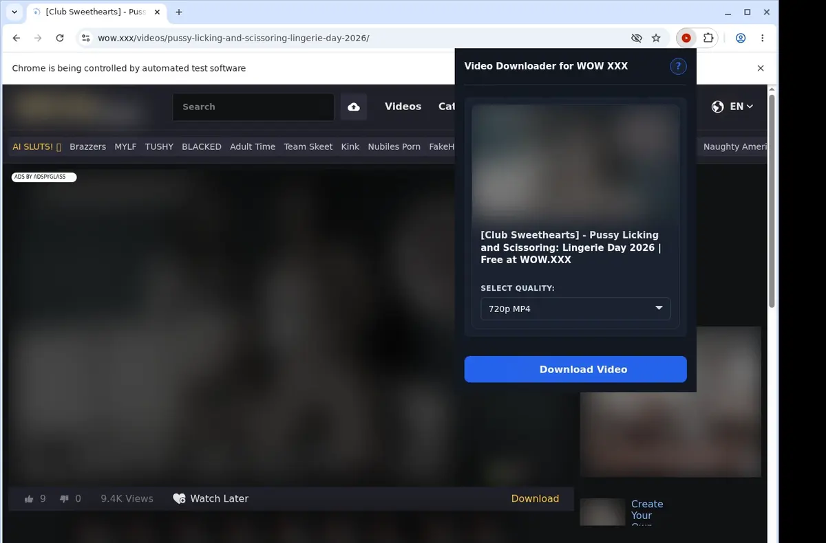 WOW XXX Downloader showing detected media ready to download