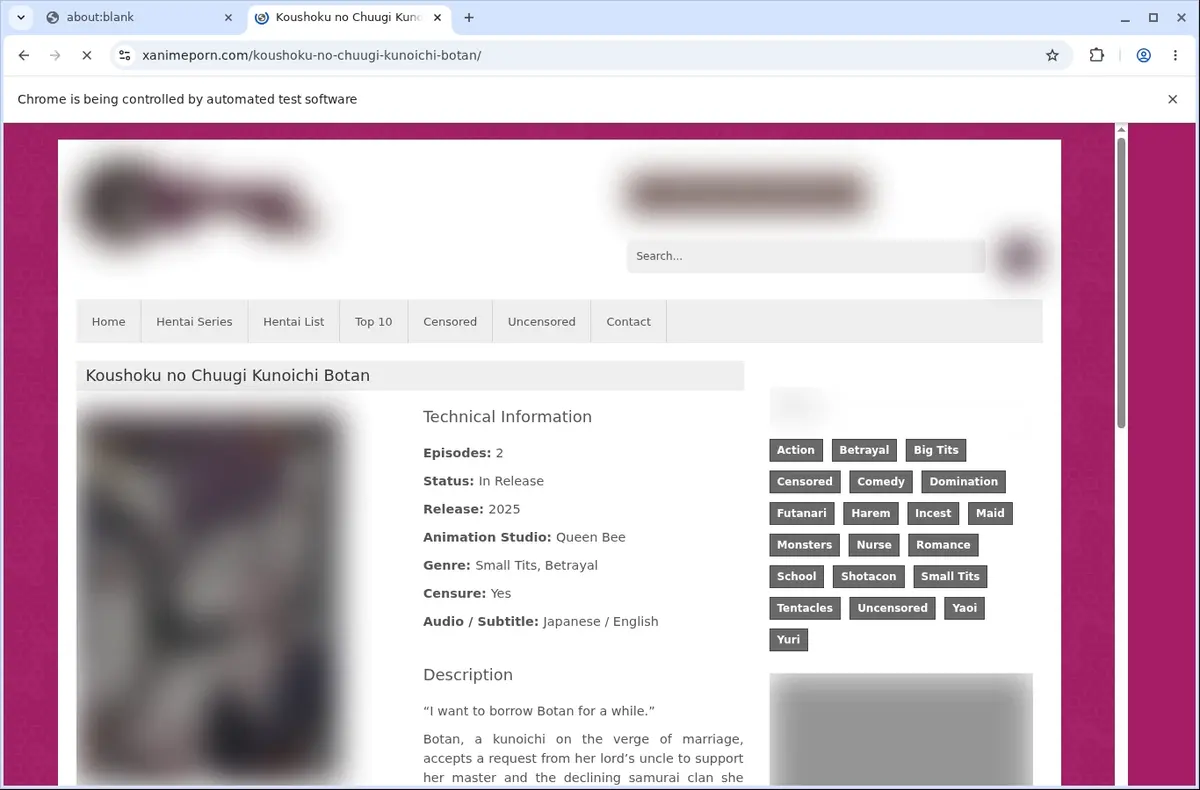 XAnimePorn Video Downloader page open in the browser
