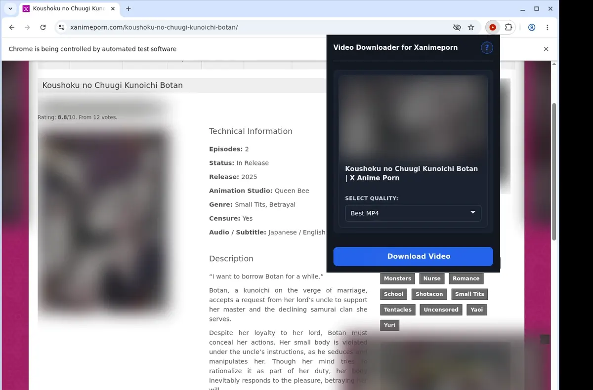 XAnimePorn Video Downloader showing detected media ready to download