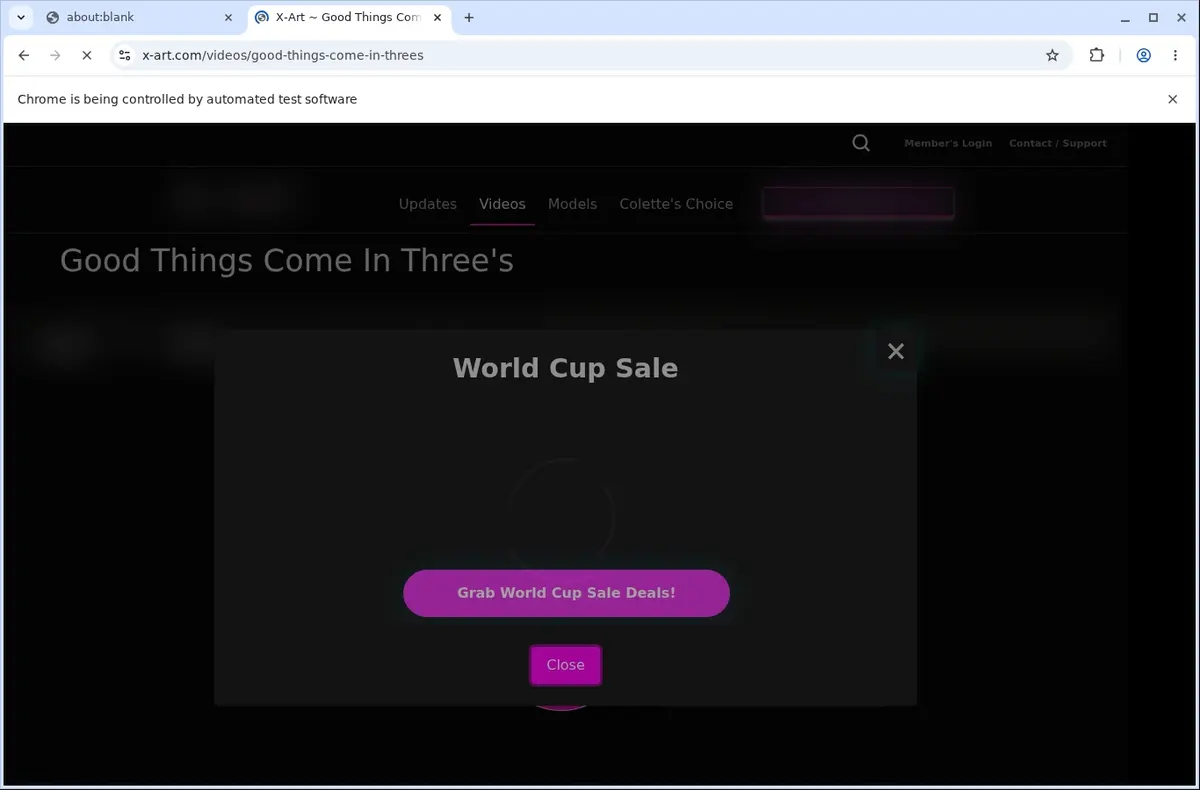 X-Art Video Downloader page open in the browser