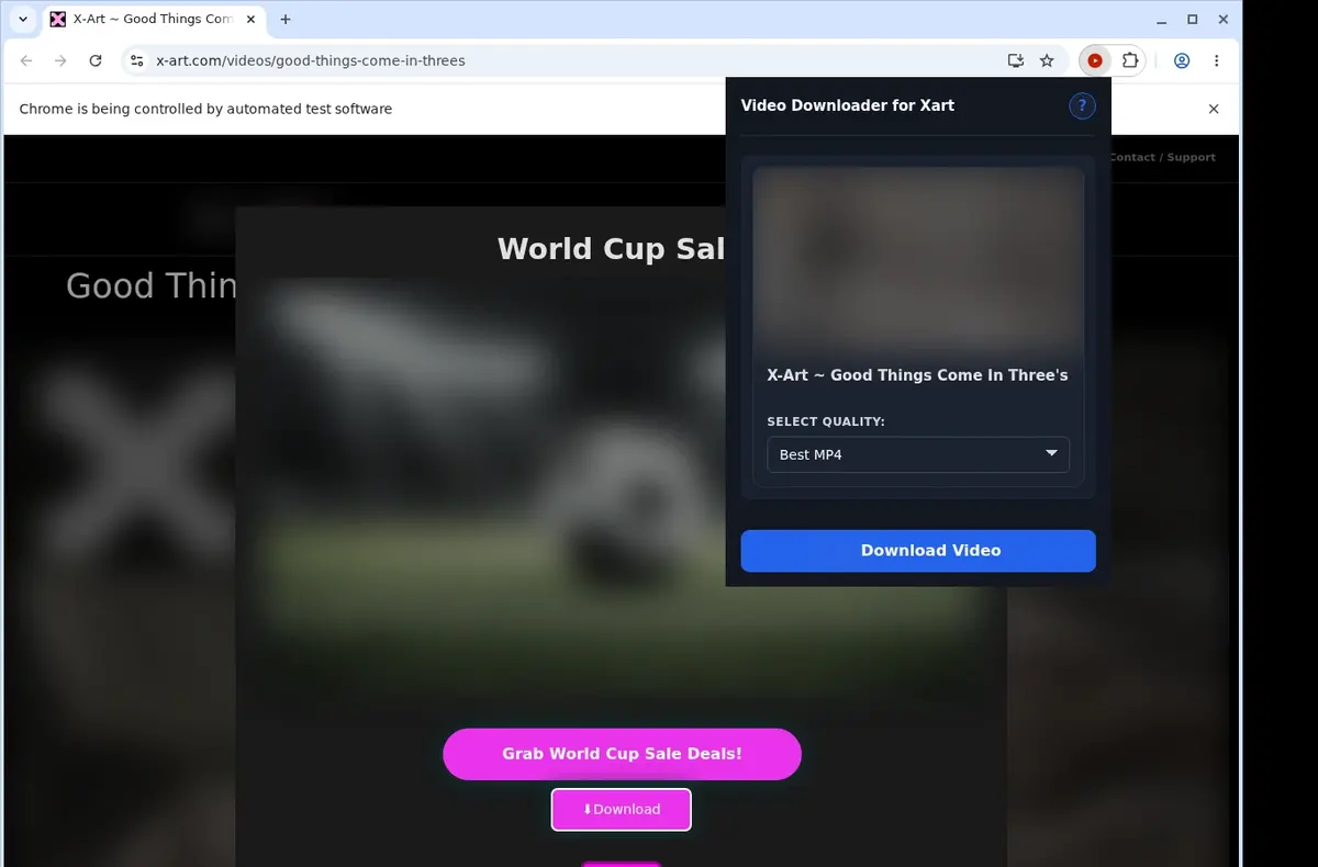 X-Art Video Downloader showing detected media ready to download