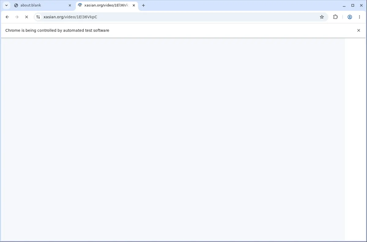 XAsian Video Downloader page open in the browser