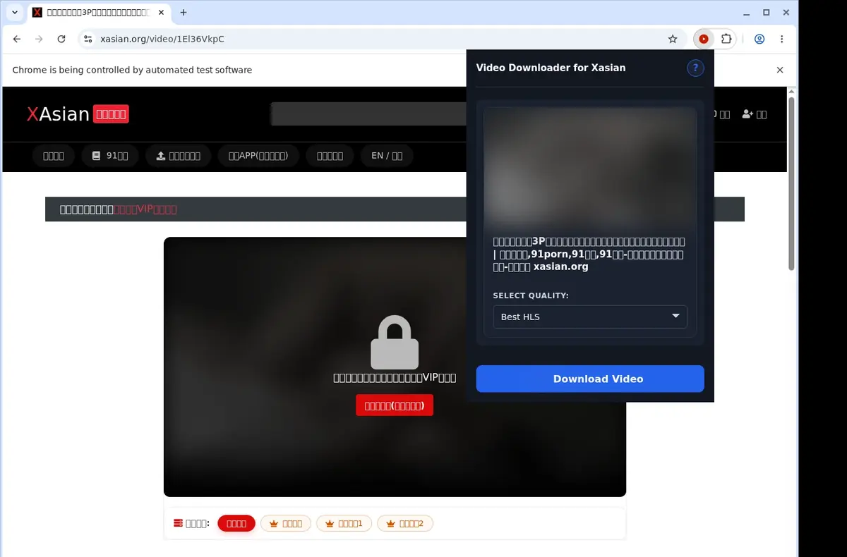 XAsian Video Downloader showing detected media ready to download