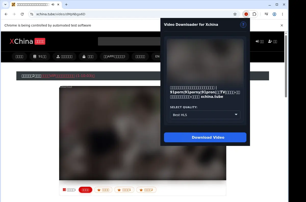 XChina Video Downloader showing detected media ready to download