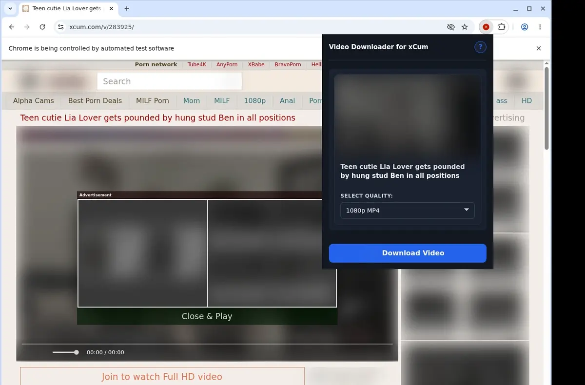 xCum Downloader showing detected media ready to download