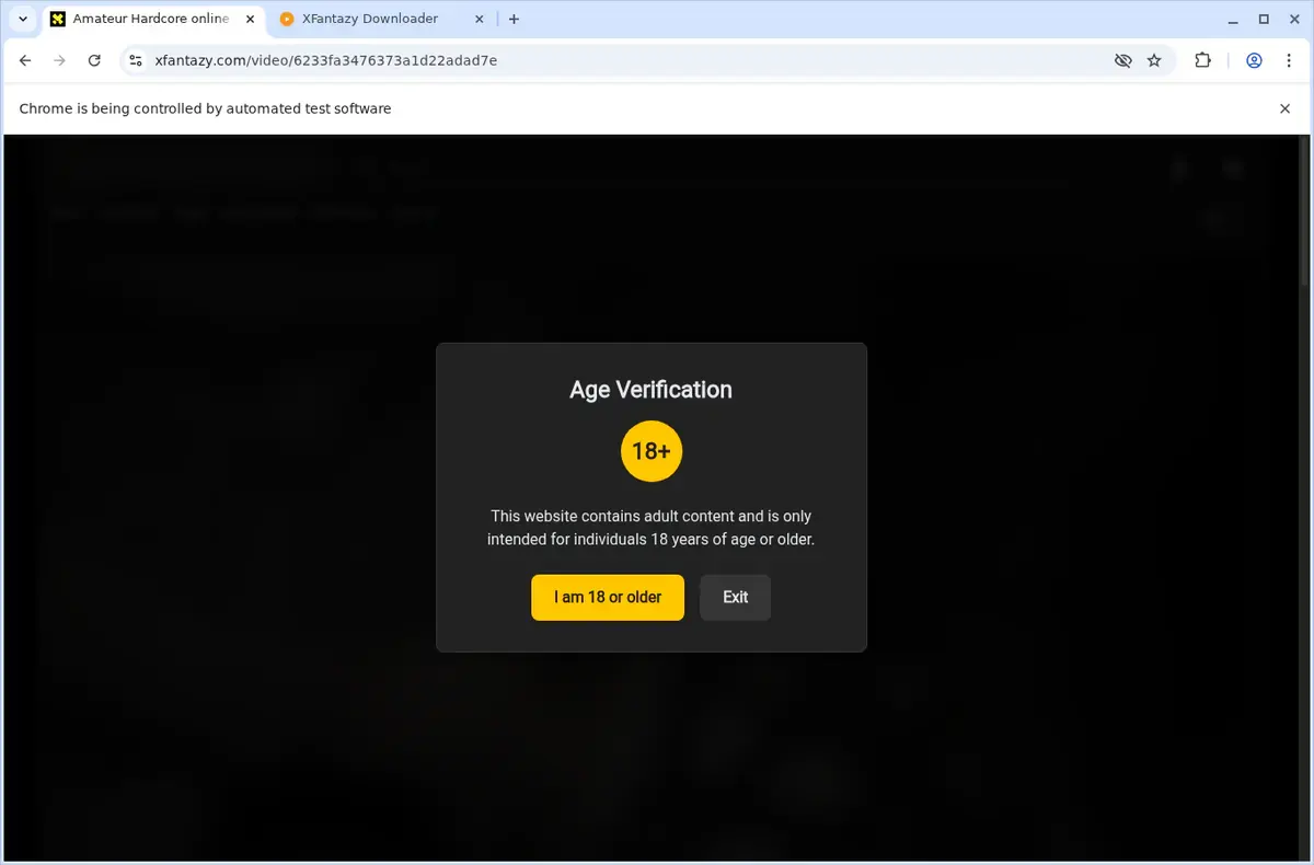 Xfantazy Video Downloader download progress panel