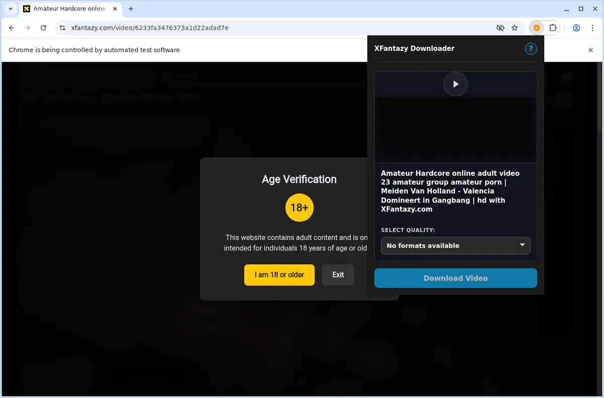 Xfantazy Video Downloader showing detected media ready to download