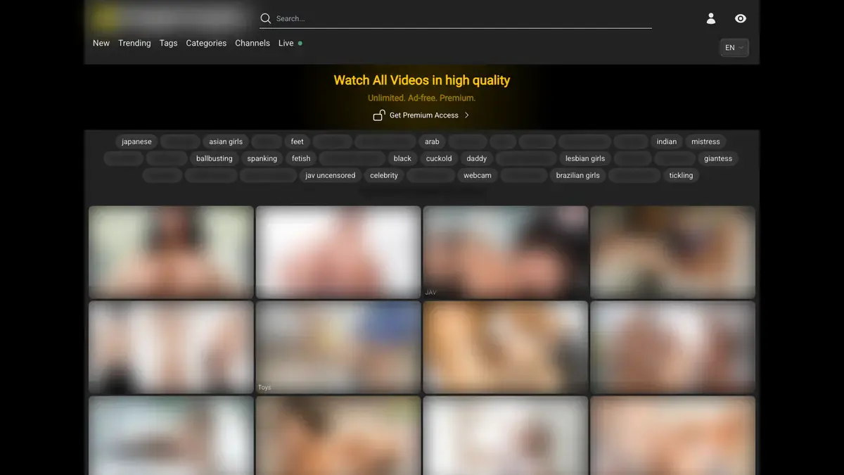 Xfantazy Video Downloader page open in the browser
