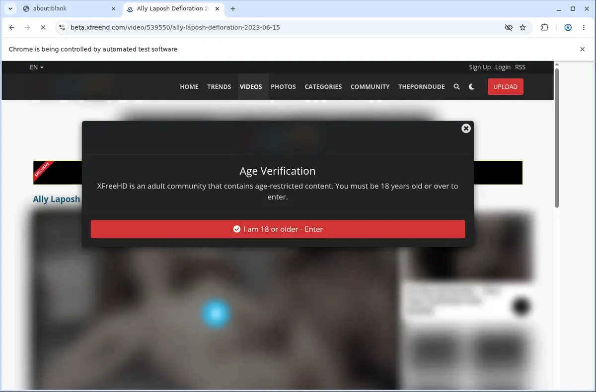 XFreeHD Downloader page open in the browser