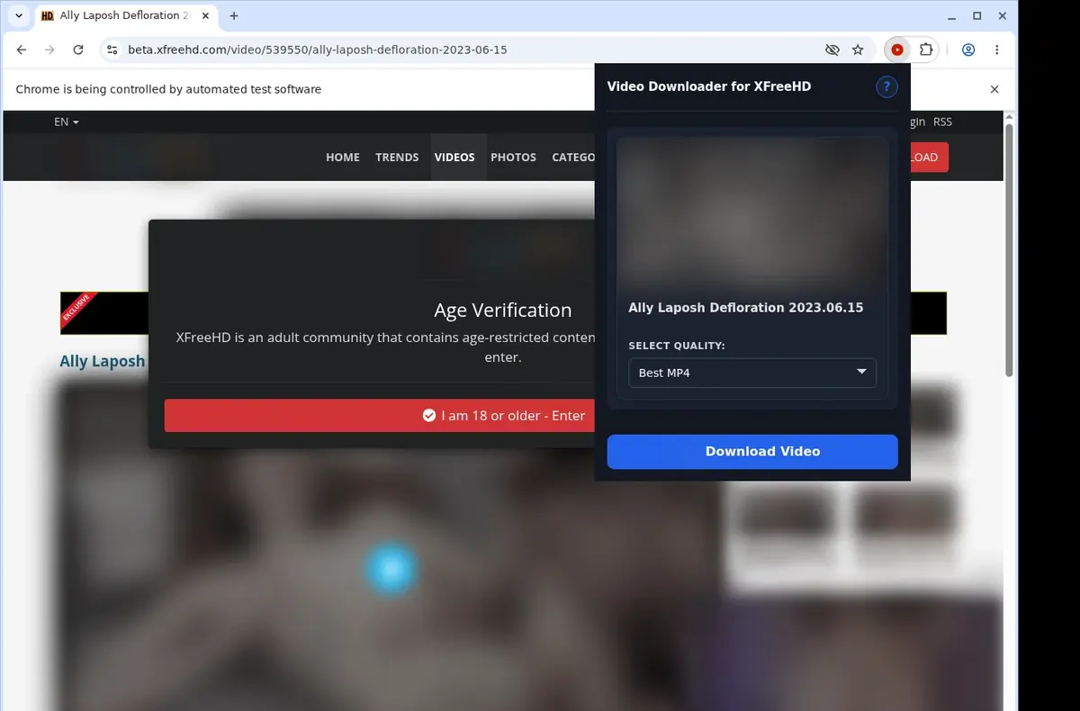 XFreeHD Downloader showing detected media ready to download
