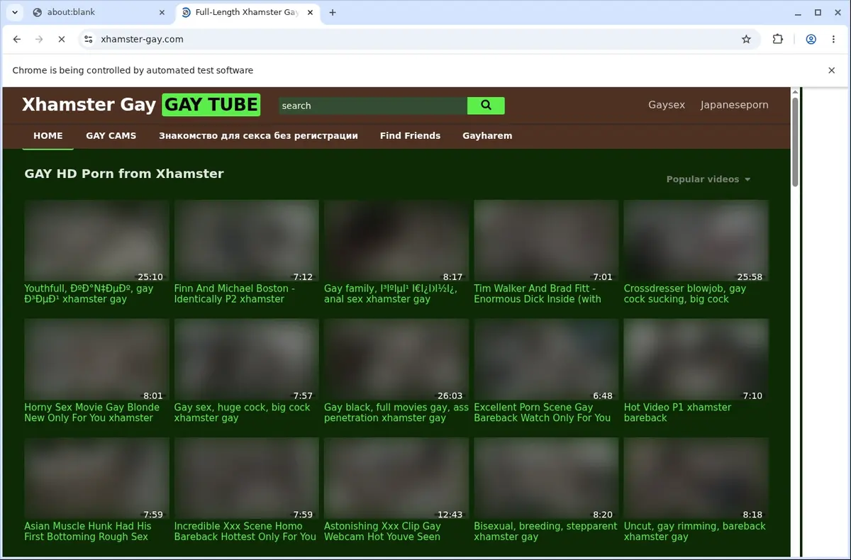 Xhamstergay Direct Video Downloader page open in the browser