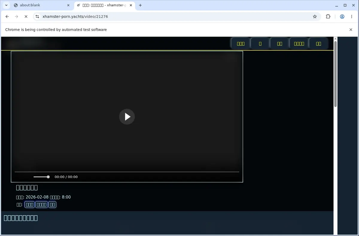 Xhamsterporn Video Downloader page open in the browser