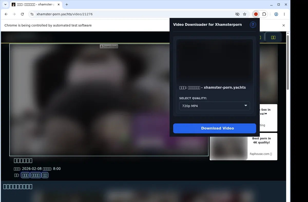 Xhamsterporn Video Downloader showing detected media ready to download