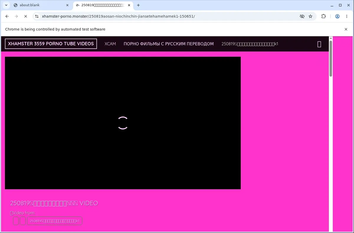 XhamsterPorno Video Downloader page open in the browser