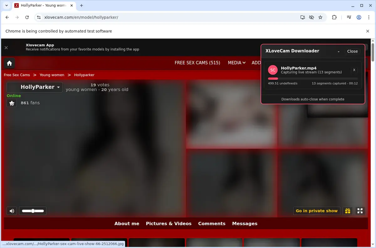 XLoveCam Video Downloader download progress panel