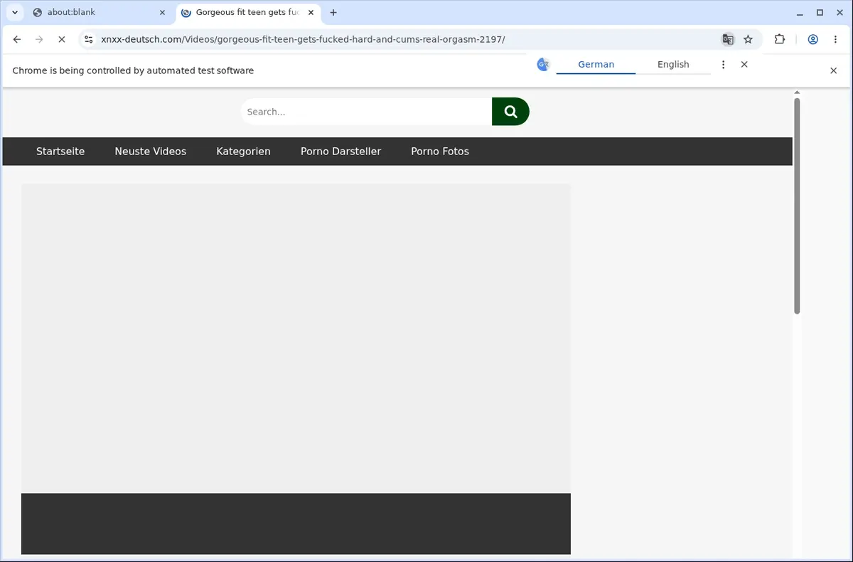 Xnxx-Deutsch Video Downloader page open in the browser