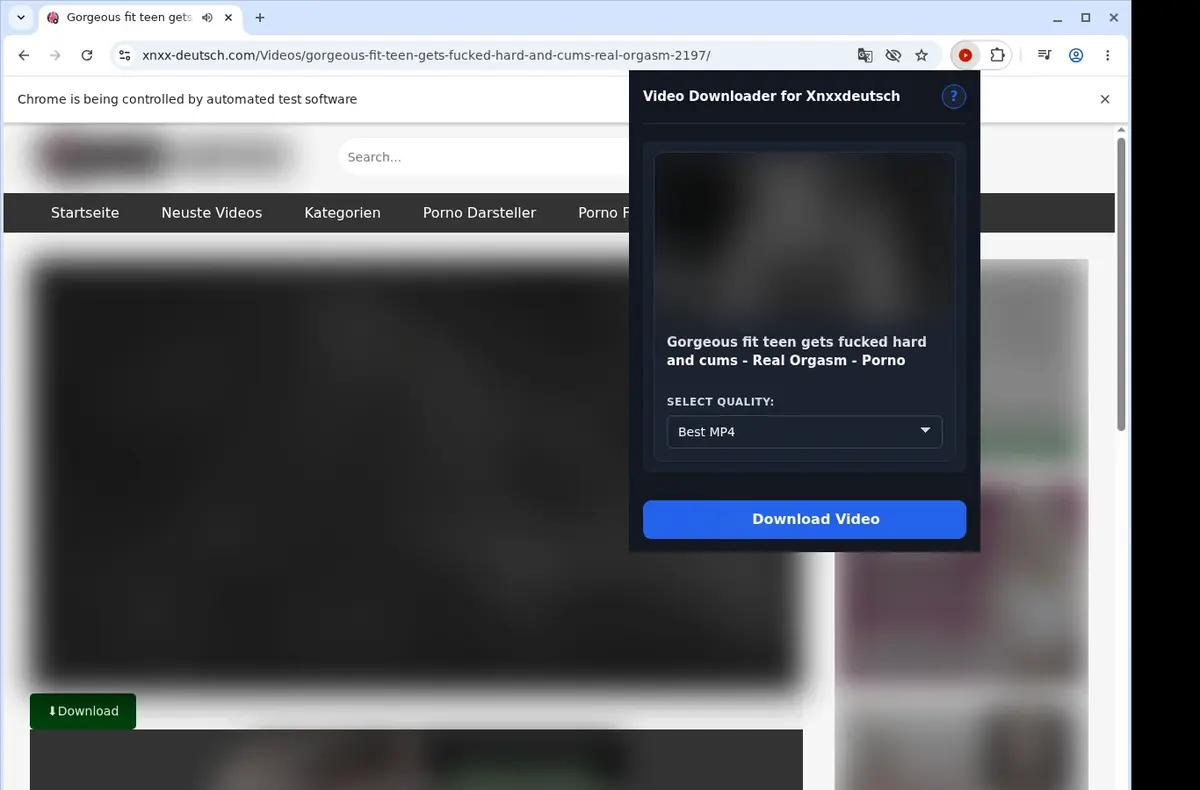 Xnxx-Deutsch Video Downloader showing detected media ready to download