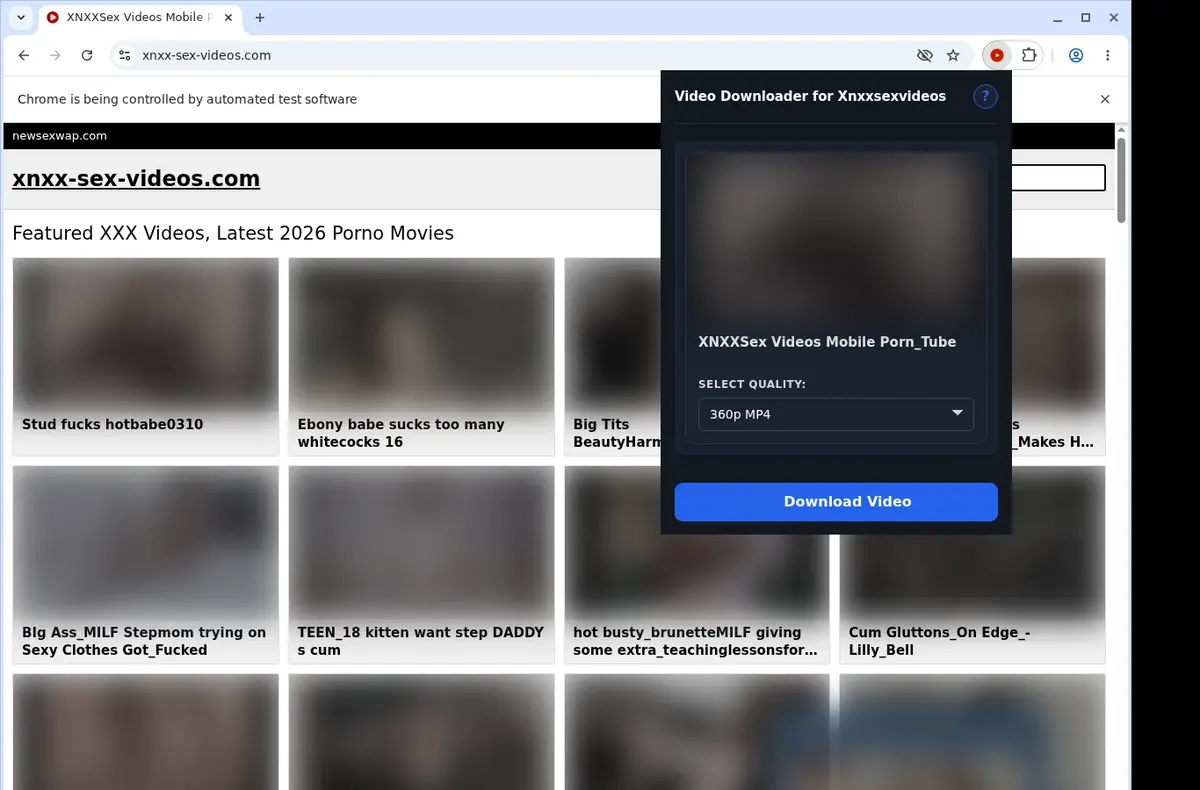 XNXX Sex Videos Downloader showing detected media ready to download