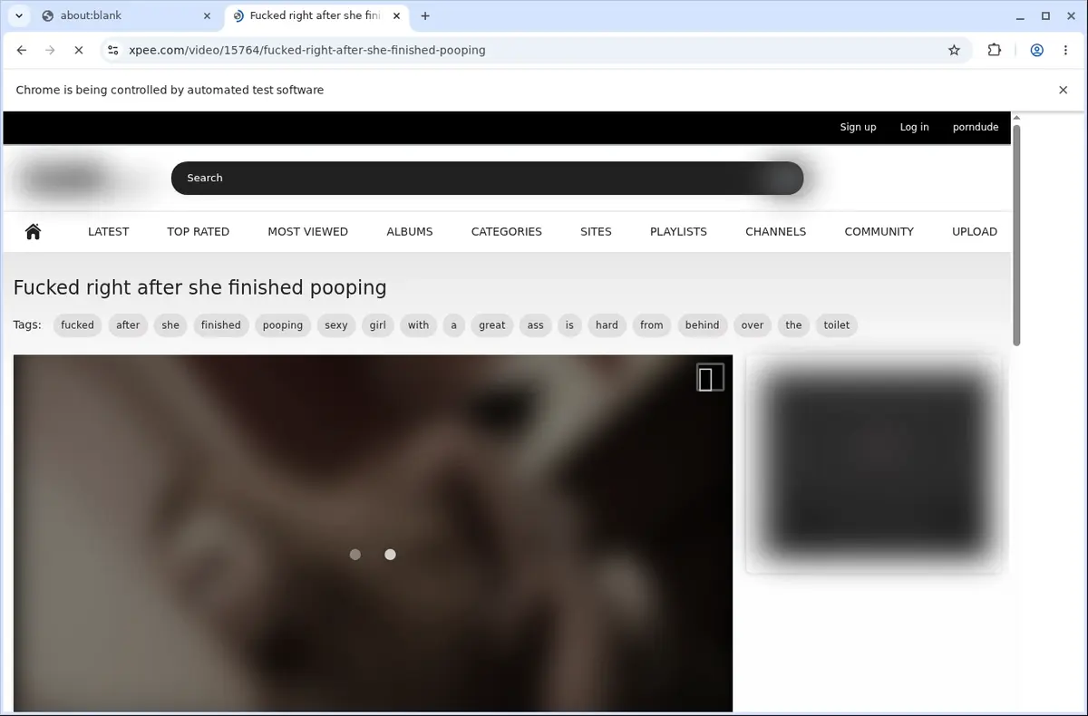 Xpee Downloader page open in the browser