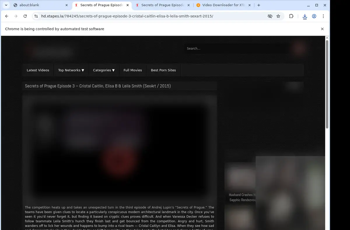XTapes Downloader page open in the browser