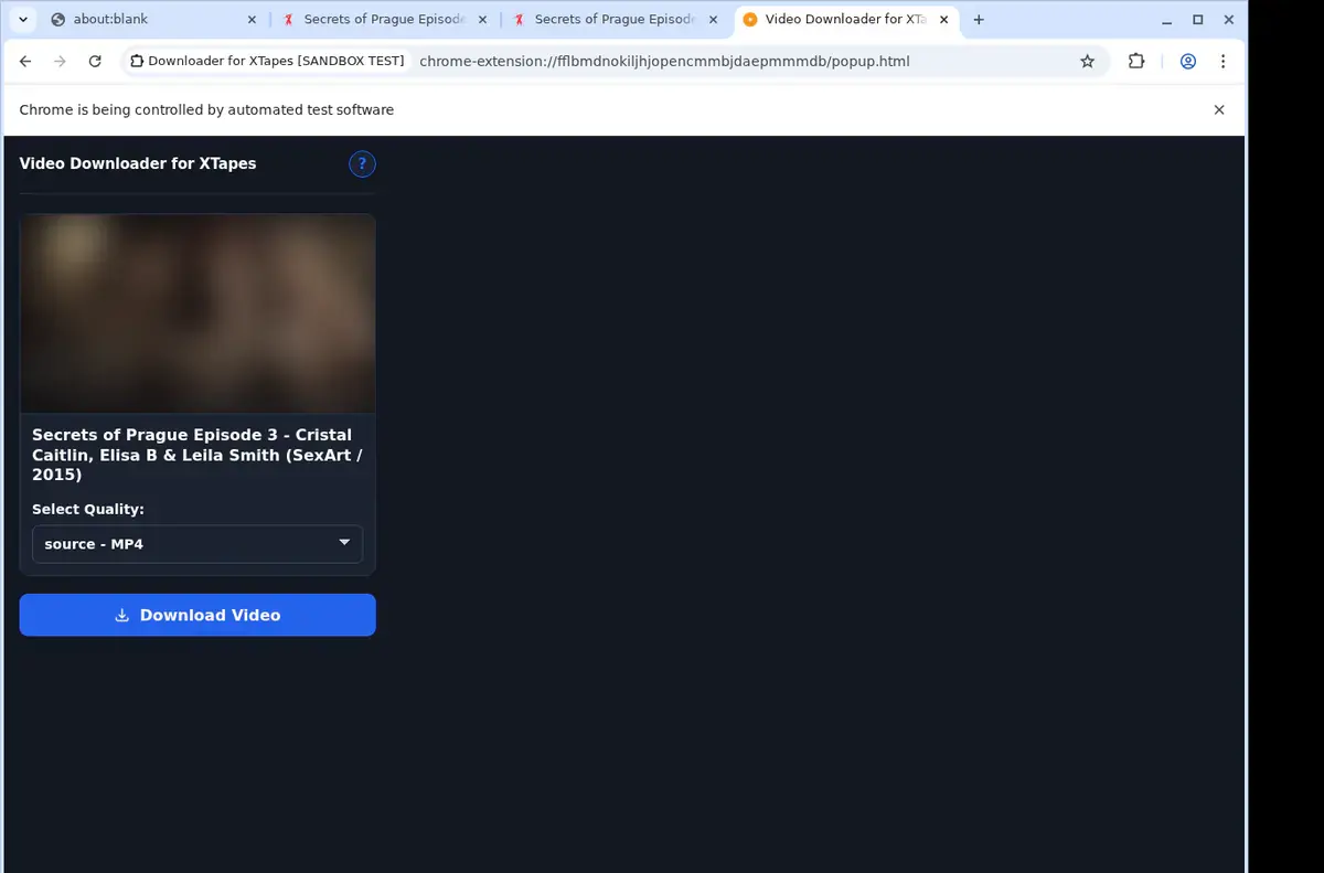 XTapes Downloader showing detected media ready to download