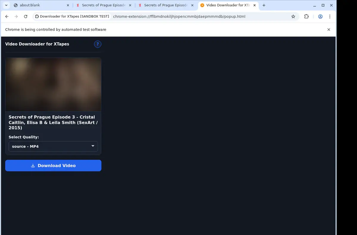 XTapes Downloader format selection and save step