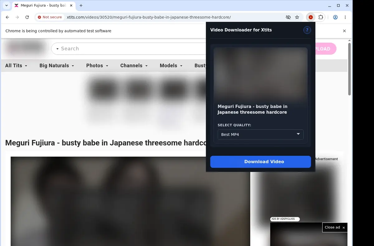 XTits Video Downloader showing detected media ready to download