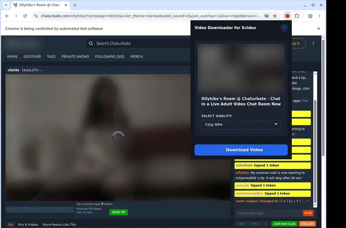 X-Video Video Downloader showing detected media ready to download