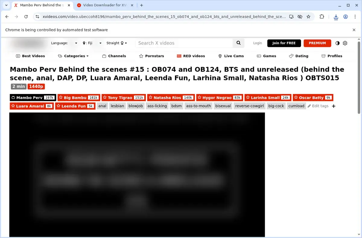 XVideos Downloader download progress panel