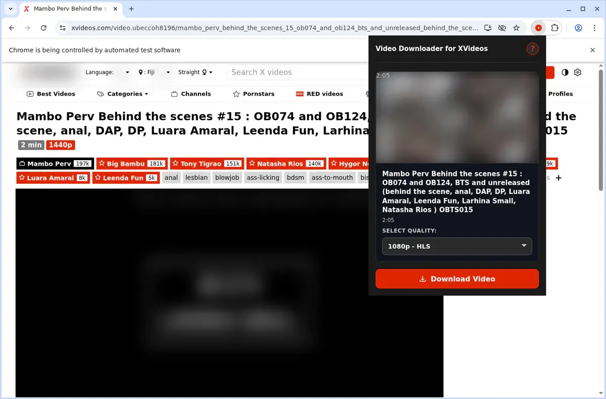 XVideos Downloader showing detected media ready to download