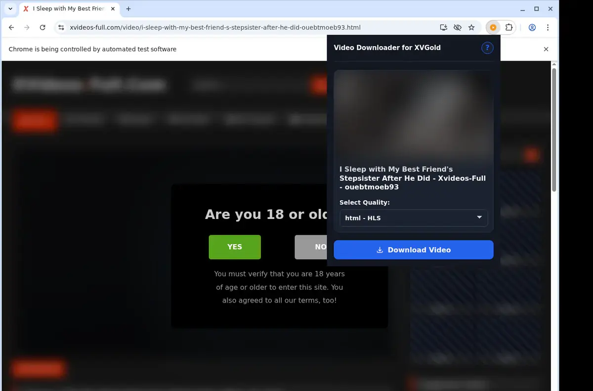 XVideosFull Video Downloader showing detected media ready to download