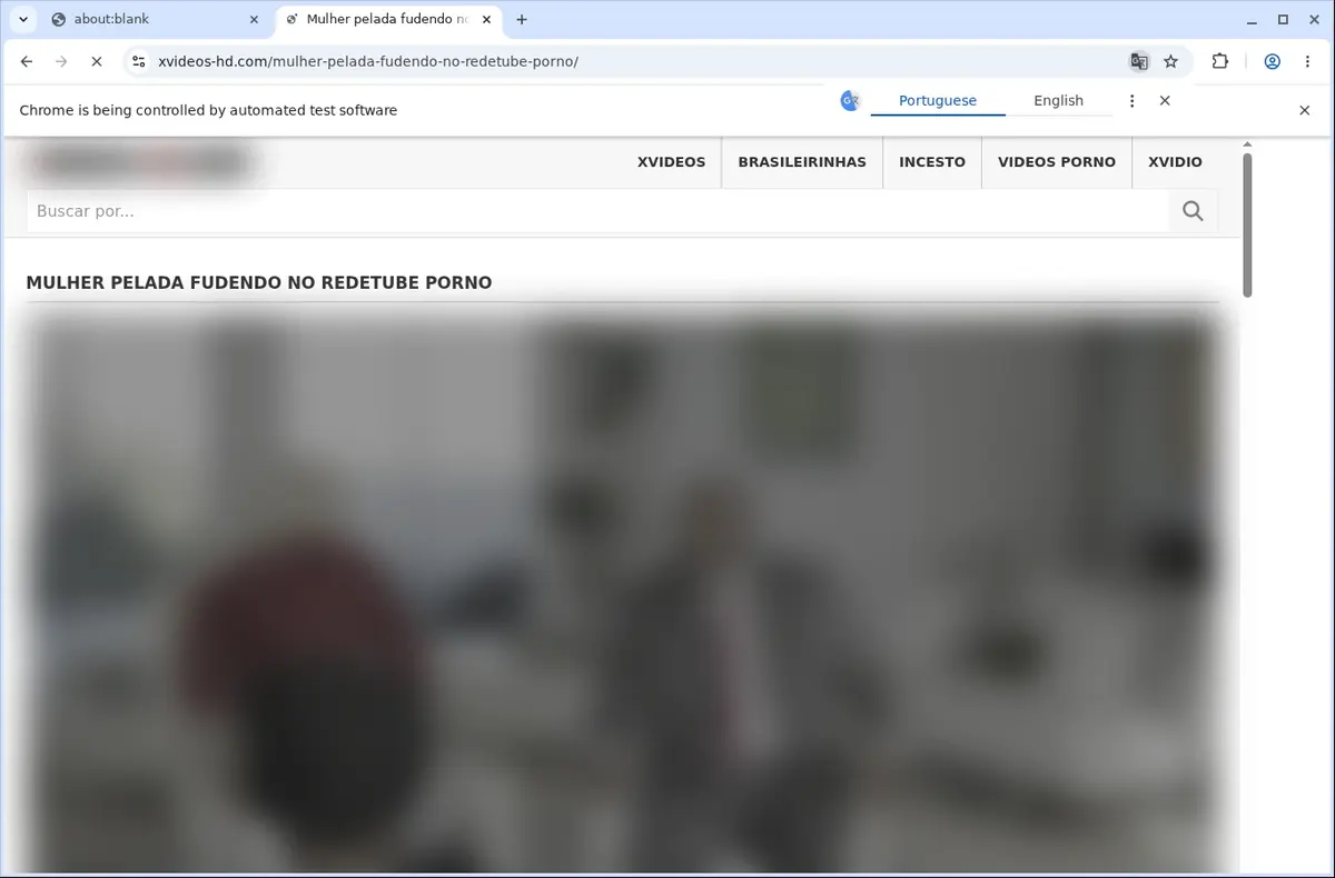 Xvideos HD Video Downloader page open in the browser