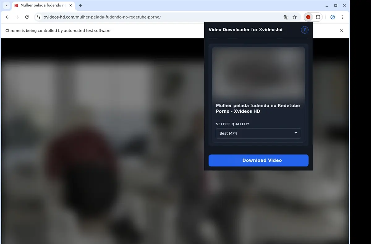 Xvideos HD Video Downloader showing detected media ready to download