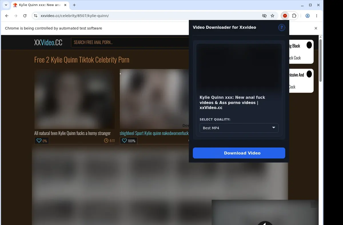 XXVideo Video Downloader showing detected media ready to download