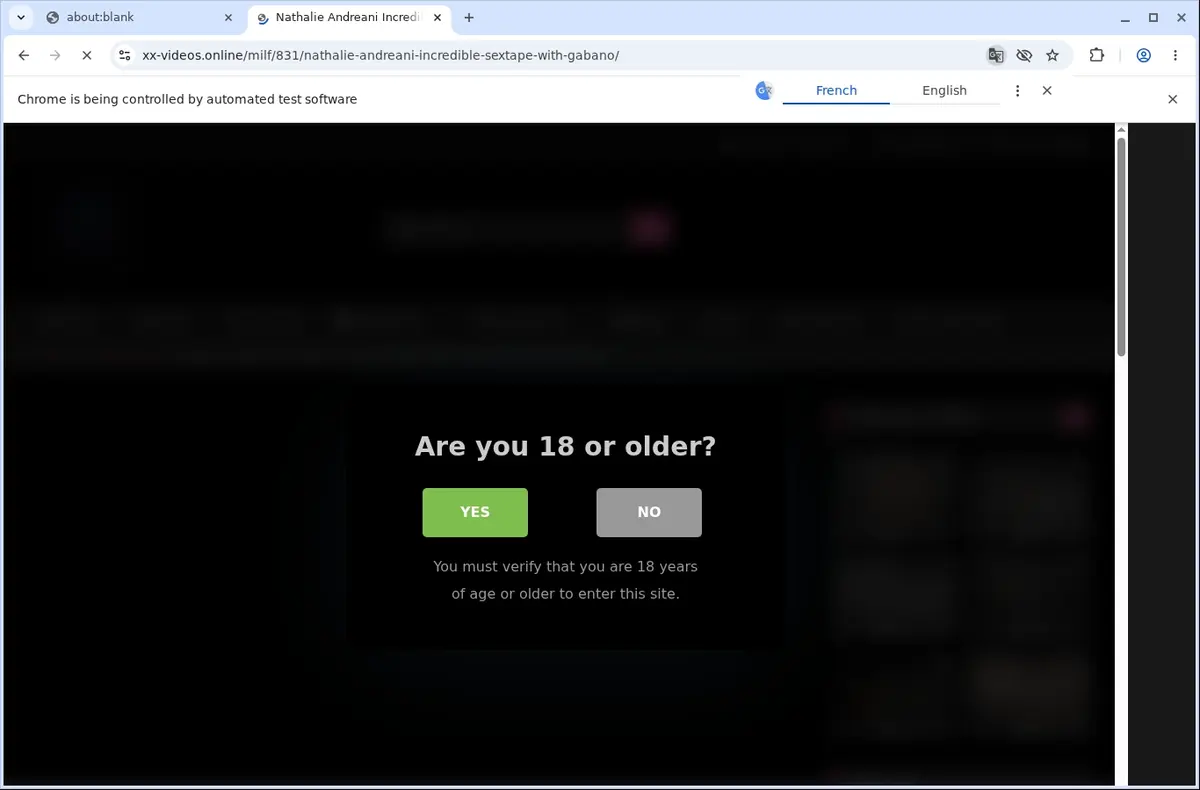 XX-Videos Video Downloader page open in the browser