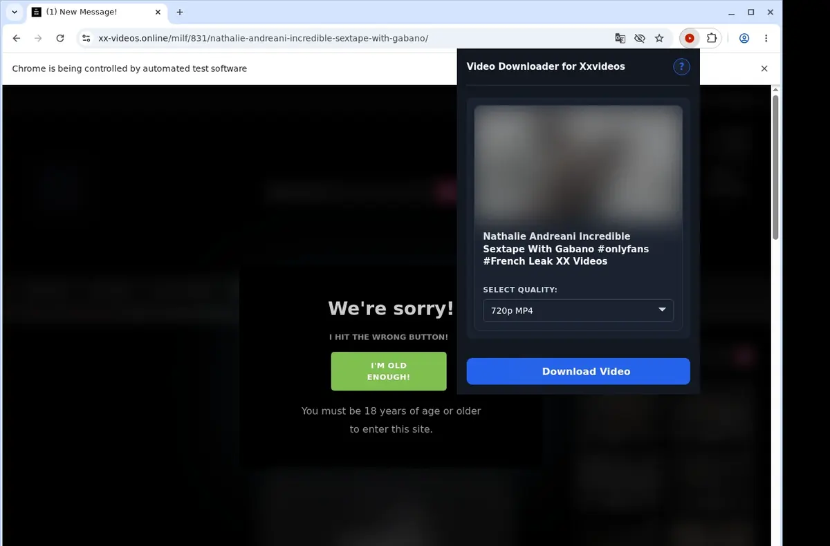 XX-Videos Video Downloader showing detected media ready to download