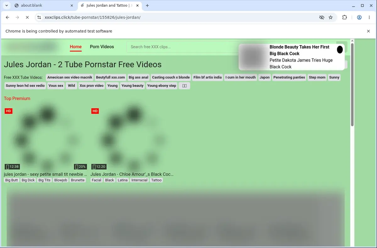 Xxxclips Downloader page open in the browser