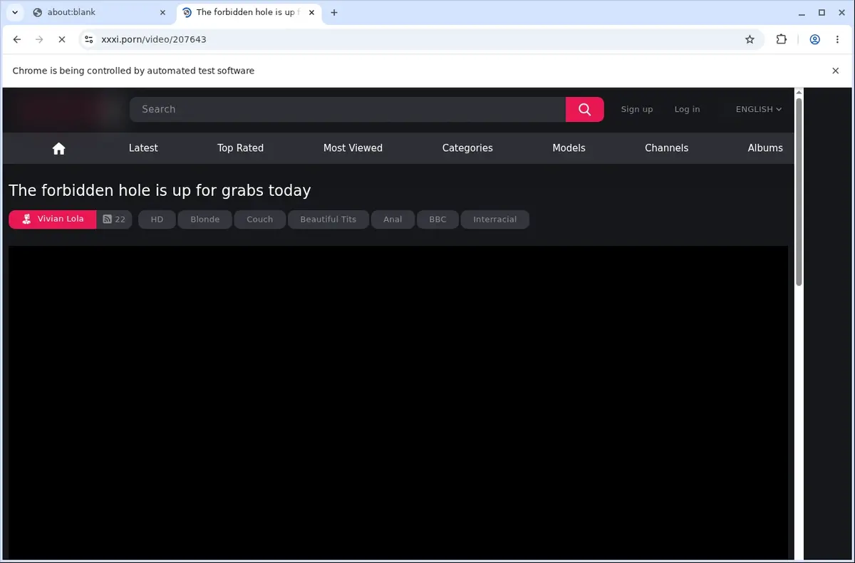 Xxxi Video Downloader page open in the browser