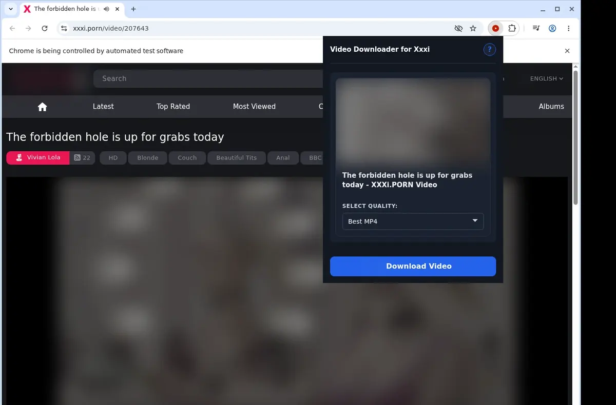 Xxxi Video Downloader showing detected media ready to download