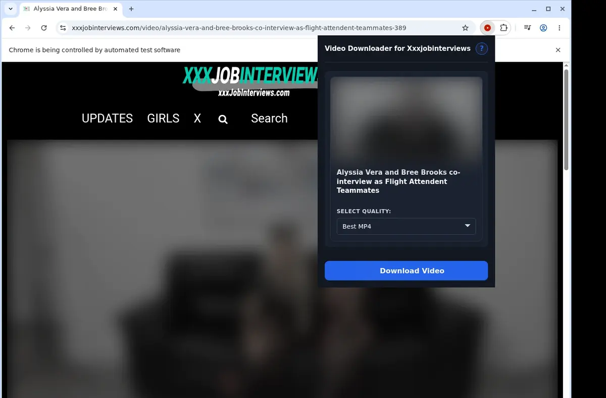 XXXJobInterviews Video Downloader showing detected media ready to download
