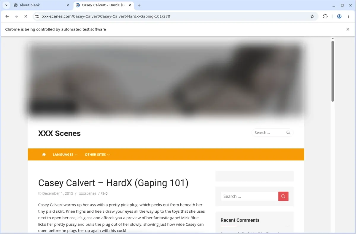 Xxx Scenes Video Downloader page open in the browser