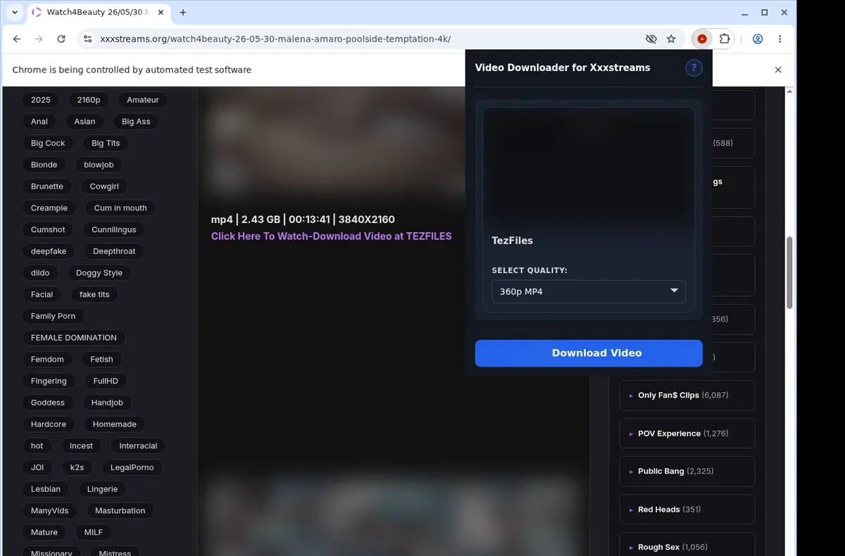 XXXStreams Video Downloader showing detected media ready to download