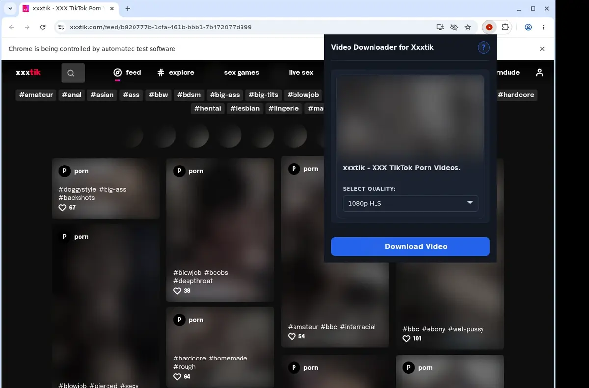 XXXTik Downloader showing detected media ready to download