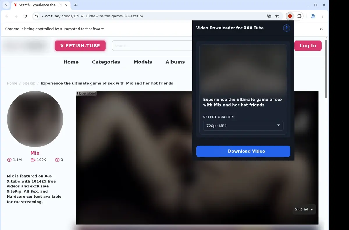 XXX Tube Downloader showing detected media ready to download