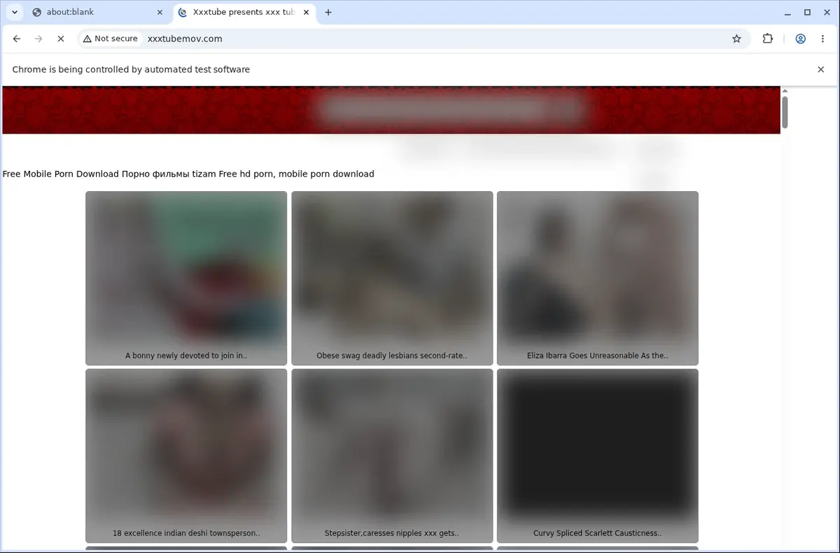 Xxxtubemov Video Downloader page open in the browser